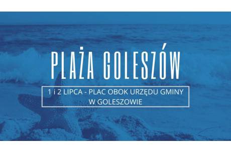 Plaża Goleszów - rodzinny piknik przy Urzędzie Gminy w Goleszowie
