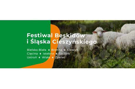 Dziewięćsił Festiwal - Cieszyn