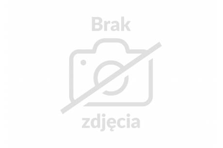 95-lecie Kościoła Ewangelicko-Augsburskiego w Istebnej "na Kurzyszowskim"