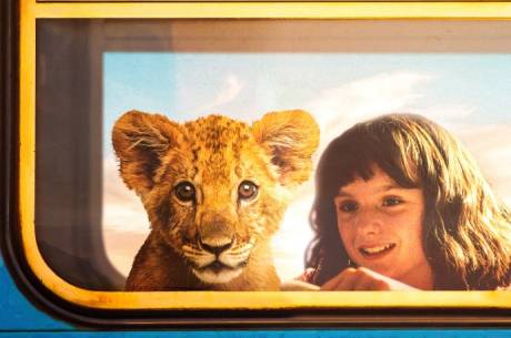 Projekcja filmu: "King: Mój przyjaciel lew"