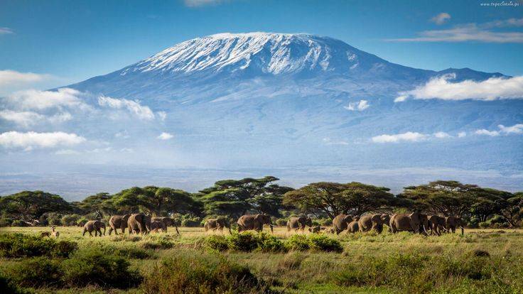 Prelekcja podróżnicza: Kilimandżaro