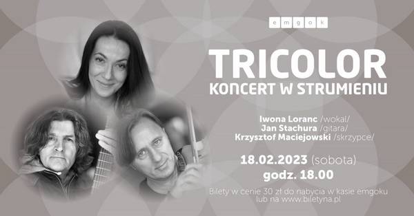 Koncert zespołu "Tricolor"