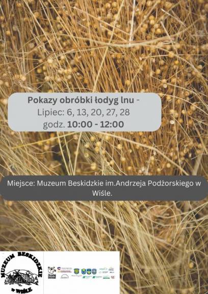 Pokaz obróbki łodyg lnu